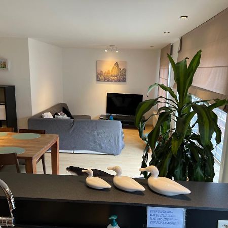Duplex Appartement Dujardin ブランケンベルヘ エクステリア 写真