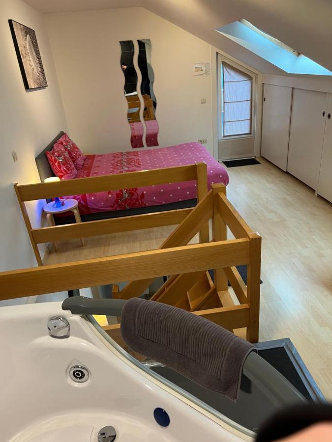 Duplex Appartement Dujardin ブランケンベルヘ エクステリア 写真