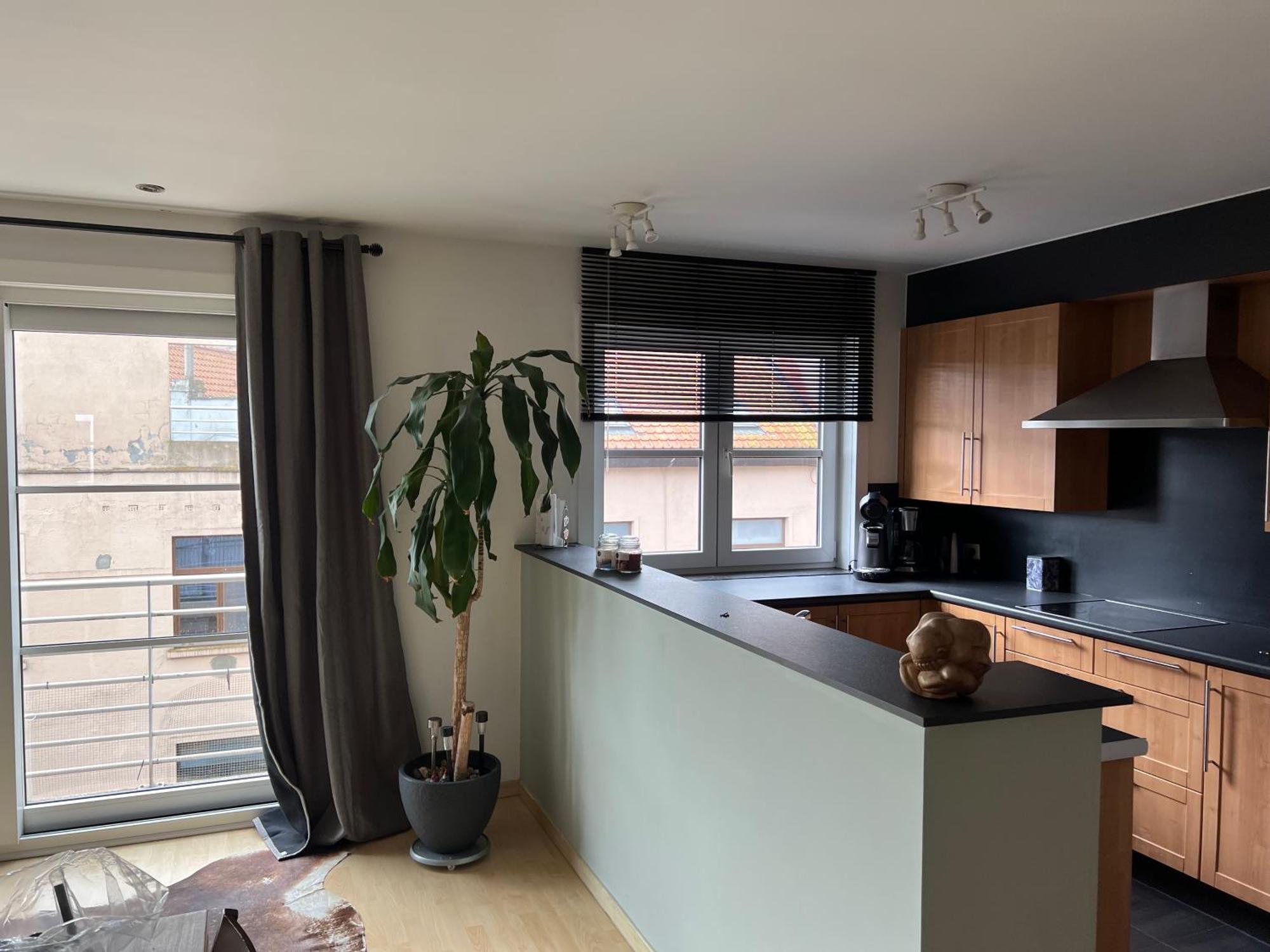 Duplex Appartement Dujardin ブランケンベルヘ エクステリア 写真